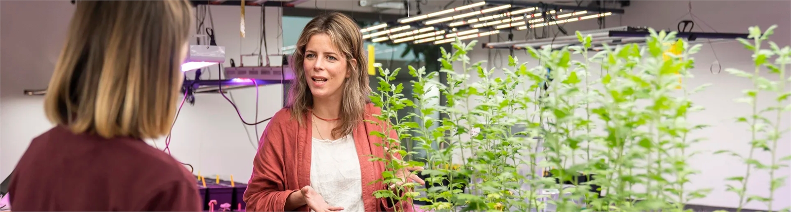 Landelijk Groen Onderwijs