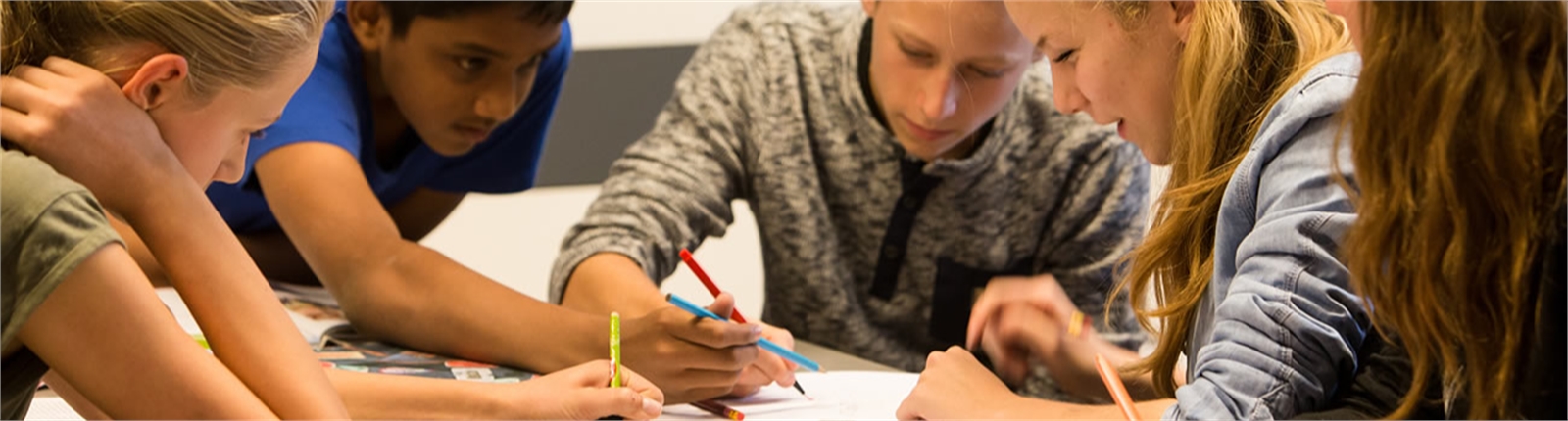 Docent Nederlands (2e graads) banner